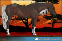 Horse Color:Silver Brown Sabino Tobiano Rabicano  and Silver Brown Sabino Tobiano Rabicano 