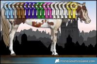 Horse Color:White Spotted Silver Brown Sabino Rabicano and White Spotted Buckskin Pearl Sabino