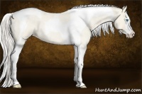 Horse Color:Cremello Roan Dun Splash Tobiano 