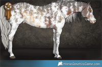 Horse Color:Buckskin Mushroom Sabino and Liver Chestnut Mushroom Sabino
