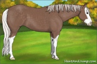 Horse Color:Chocolate Silver Black Splash 