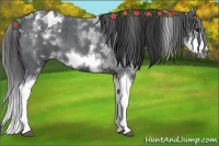 Horse Color:White Spotted Blue Roan Splash Frame Varnish