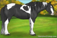 Horse Color:Black Splash Tobiano 