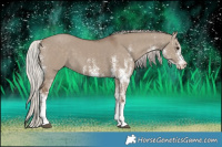 Horse Color:White Spotted Silver Grullo