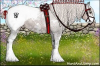 Horse Color:Liver Chestnut Sabino Appaloosa 