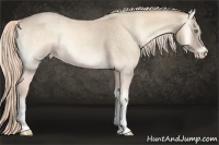Horse Color:Watercolor Cremello Roan Onyx