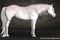 Horse Color:Watercolor Perlino Onyx Splash 
