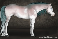 Horse Color:Watercolor Bay Onyx Splash