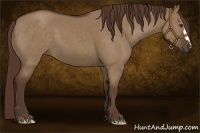 Horse Color:Liver Red Dun 
