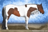 Horse Color:Bay Roan Tobiano