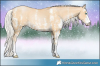 Horse Color:Silver Smoky Black Pearl Sabino