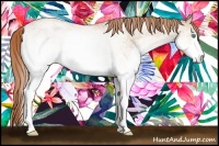 Horse Color:White Spotted Smoky Black Pearl 