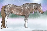 Horse Color:White Spotted Liver Chestnut Ice 
