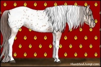 Horse Color:Bay Tobiano Frame Appaloosa 