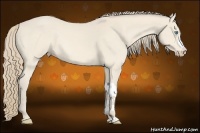 Horse Color:Perlino 