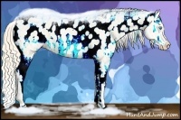 Horse Color:Perlino Ice Dun Appaloosa