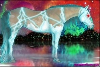 Horse Color:Thunderstruck Buckskin Ice Splash