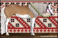 Horse Color:Silver Bay Splash 