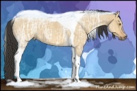 Horse Color:Buckskin Ice Dun Tobiano 