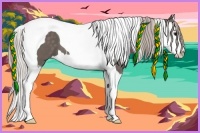 Horse Color:Silver Black Splash Tobiano 