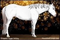 Horse Color:Bay Splash Frame Appaloosa 