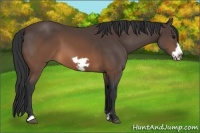 Horse Color:Brown Frame 