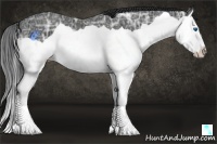 Horse Color:Black Ice Splash 