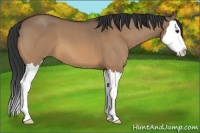 Horse Color:Bay Roan Dun Splash