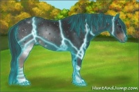 Horse Color:Thunderstruck Liver Chestnut 
