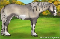 Horse Color:Silver Smoky Blue Onyx Roan Frame 