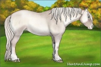 Horse Color:Silver Smoky Blue Onyx Roan Pearl 