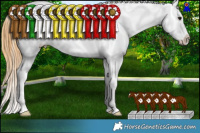 Horse Color:White Spotted Buckskin Roan Splash Frame Snowcap Rabicano 