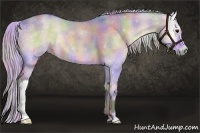Horse Color:Nacre Watercolor Silver Bay Onyx