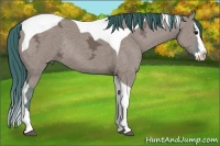 Horse Color:Watercolor Grullo Ice Splash Tobiano Rabicano 