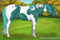 Horse Color:Watercolor Smoky Black Ice Tobiano