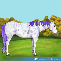 Horse Color:Watercolor Smoky Black Ice Sabino 