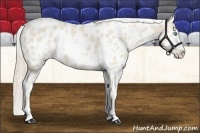 Horse Color:White Spotted Smoky Creme Dun Varnish 