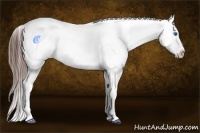 Horse Color:White Spotted Bay Splash Frame Appaloosa