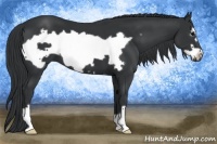 Horse Color:Black Frame 