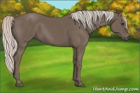 Horse Color:Silver Black 