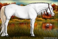 Horse Color:Smoky Grullo Near Fewspot 