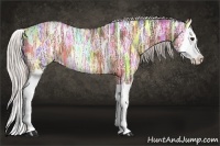 Horse Color:Silver Bay Ice Splash Rabicano 