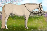 Horse Color:Perlino 
