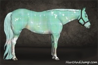 Horse Color:Watercolor Plaid White Spotted Chocolate Palomino
