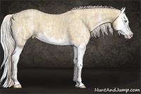 Horse Color:Silver Classic Champagne Ice Dun Splash 