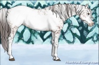 Horse Color:Bay Frame Appaloosa 