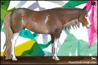 Horse Color:White Spotted Liver Chestnut Sabino Rabicano