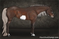 Horse Color:Silver Bay Frame