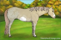 Horse Color:Palomino Ice Dun Frame 