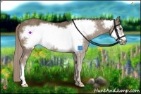 Horse Color:Chocolate Palomino Frame 